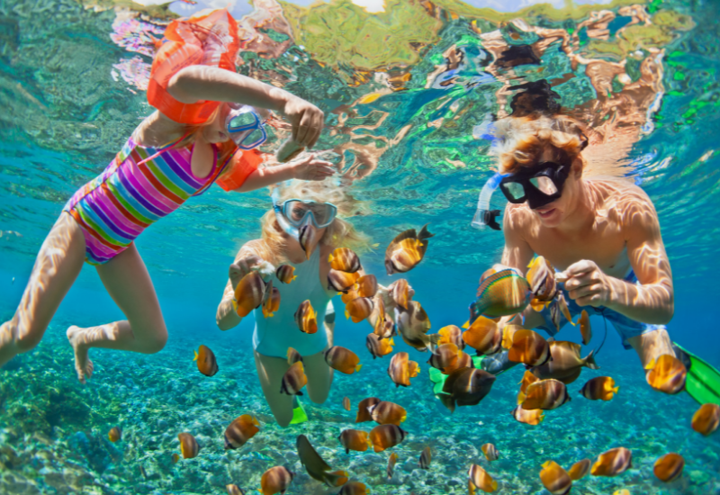 Children in swimsuits snorkeling with fish in the Bahamas