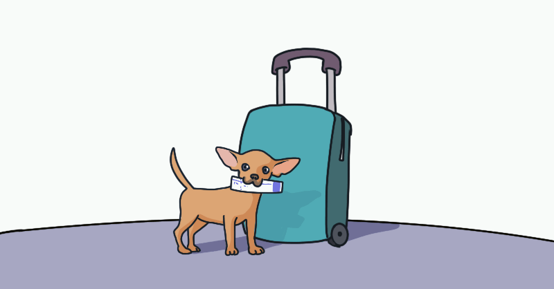 Small dog with an airline ticket and a wagging tail in front of a suitcase