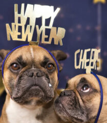 Looking Back to Travel Smarter Going Forward