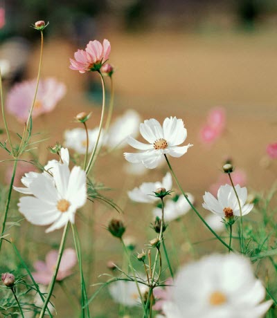 The Anti-Spring Break Blueprint for Savvy Travelers